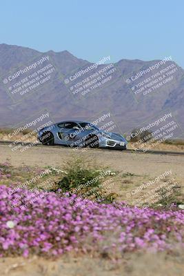 media/Jan-29-2023-PCA San Diego (Sun) [[aa0301ccc2]]/Yellow Group/Session 1 (Turn 15 Bloom)/